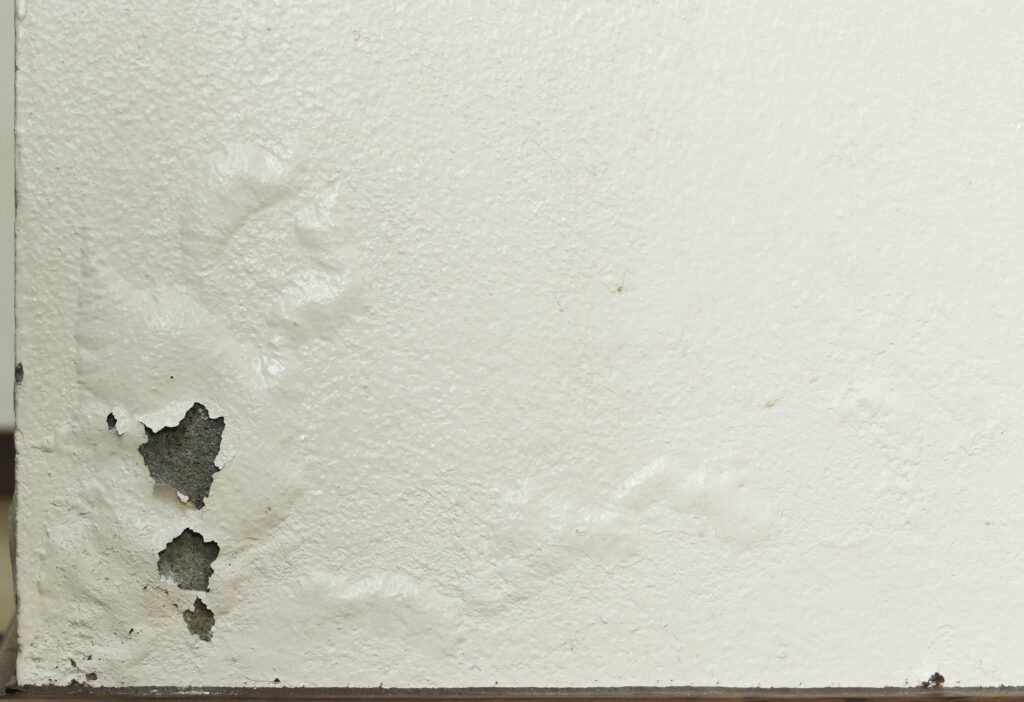 🟢 Grietas y desprendimiento de pintura: ¿Daño superficial o un problema estructural?
