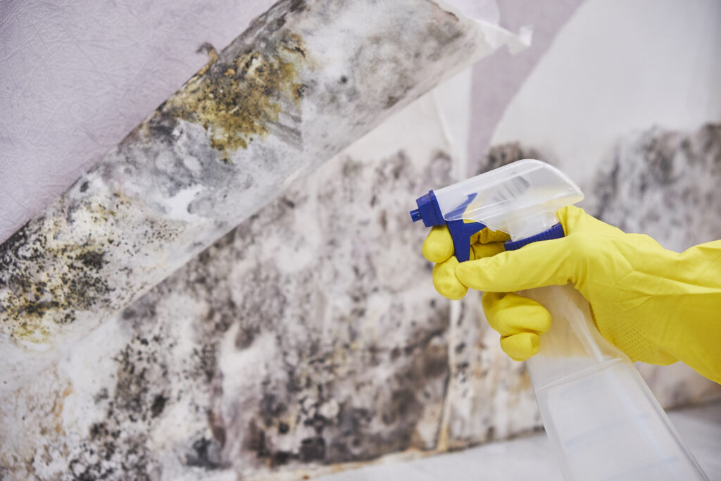 Limpieza de pared con moho por humedad de condensación