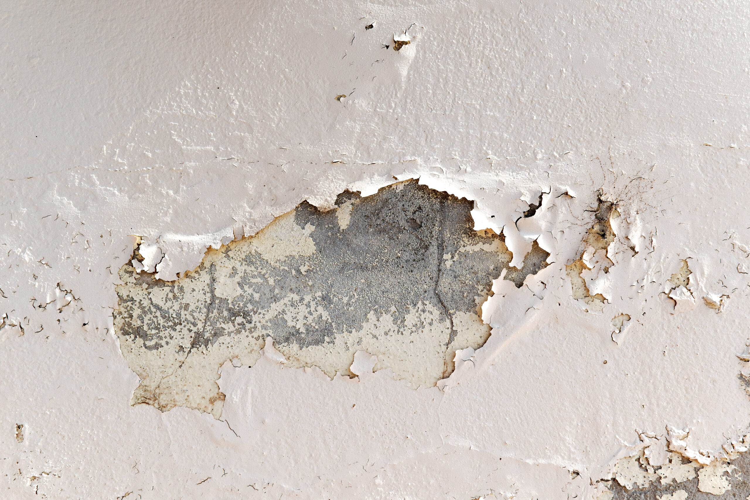 Humedades en vivienda: diagnóstico pericial, moho, condensación y filtraciones